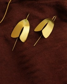 Noctuidmoth Plain Big