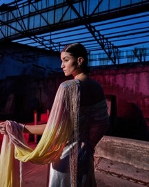The Infrared Saree Dress