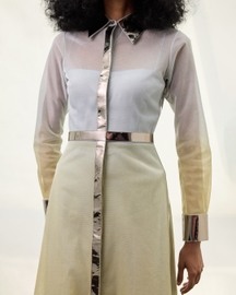 Metallic Shirt Dress