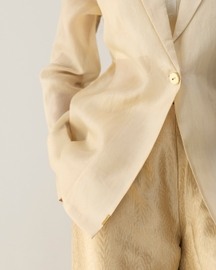 Ivory Organza Blazer Set