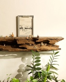 Behold -The Art Frame