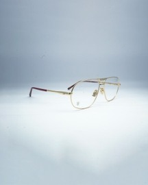 Dalai Tortoise Shell Spectacles