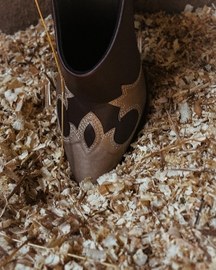 Aurora Boots