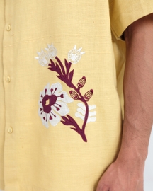 Aamras Shirt
