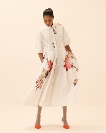 Caucasian Shirt Dress