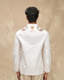 Cutaway Collar Shirt