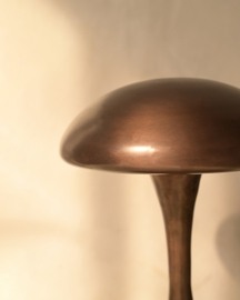 Orbix Rechargeable Lamp