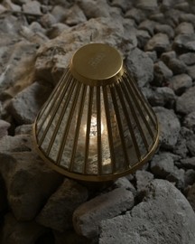 Fossil Portable Table Lamp