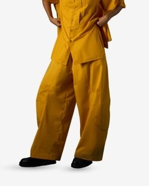 Side Pleat Panel Pants