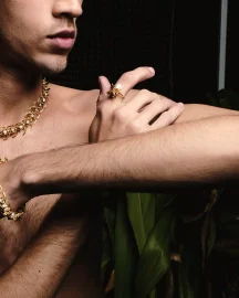 Python Ring