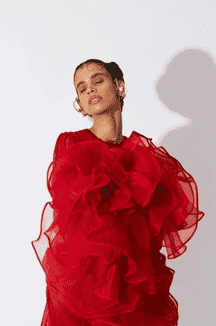 Bottlebrush Organza Dress