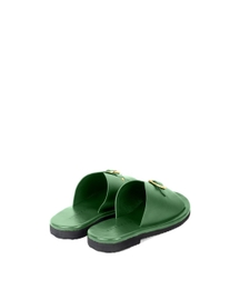 Envelope Slides Single Buckle