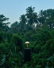 Tusker Table Lamp