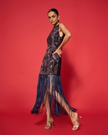 Arya Embroidered Dress