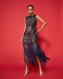 Arya Embroidered Dress