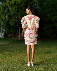 Saanvi Embroidered Dress