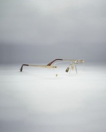 Yang Gold. Spectacles
