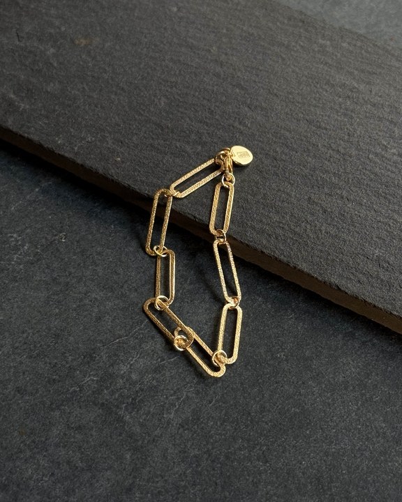 Link Chain Bracelet With Gold Coin