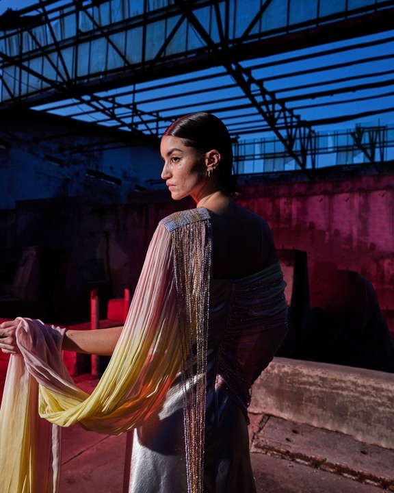 The Infrared Saree Dress