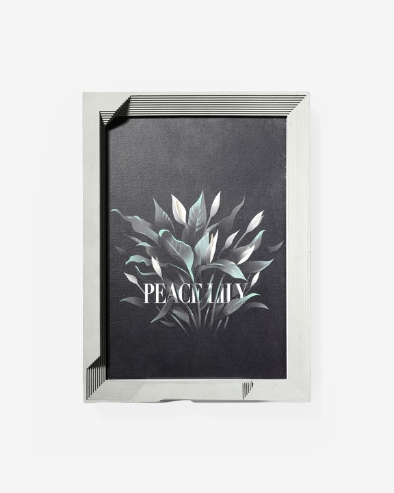 Behold -The Art Frame