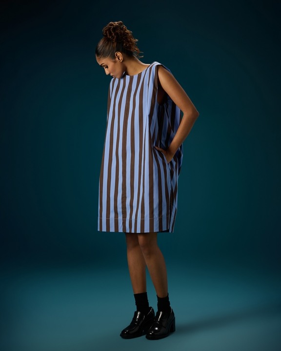 Pleated Back Layer Dress