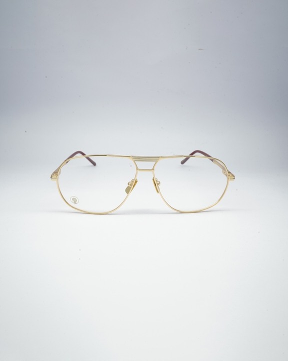 Dalai Tortoise Shell Spectacles