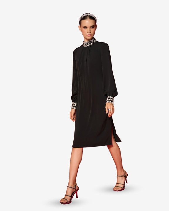 Levy Embroidered Dress