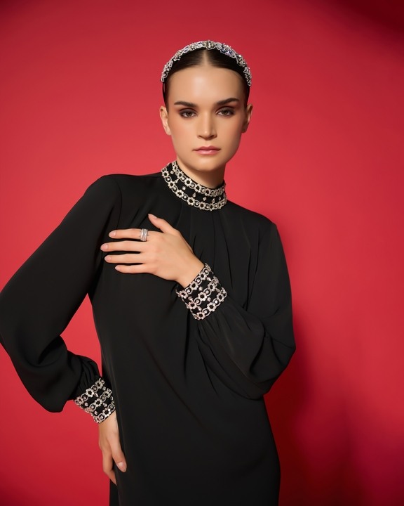 Levy Embroidered Dress