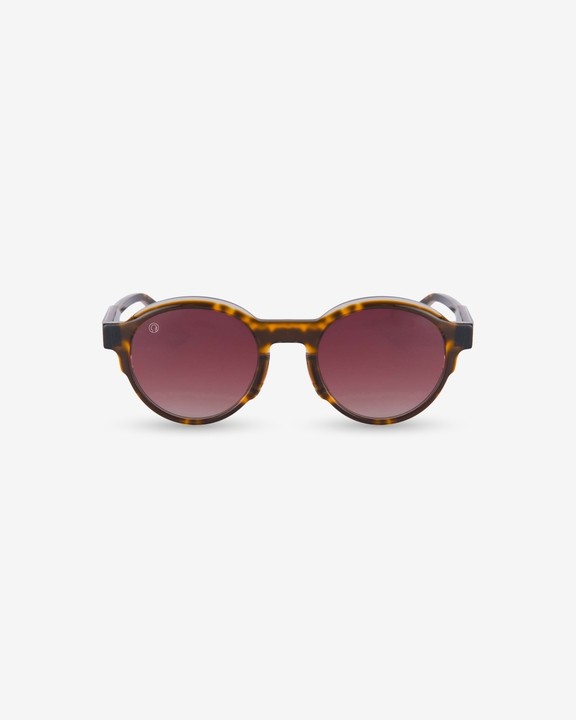 Winston C. Tortoise Shell Brown Sunglasses