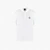 Regular Fit Cotton Polo Shirt With Brand Logo