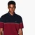 Regular Fit Two-Tone Cotton Polo Shirt With Embroidered Branding