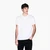 Black And Gold Regular Fit Cotton T-Shirt With Logo Tape