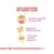 Royal Canin Persian Kitten Dry Cat Food
