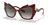 0DG6166 Injected Women Sunglasses