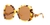 0GC001937 Injected Women Sunglasses