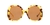 0GC001937 Injected Women Sunglasses
