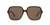 0GC001949 Acetate Women Sunglasses