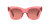 0CL000194 Acetate Women Sunglasses