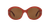 0CL000382 Acetate Women Sunglasses