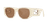 0FN000725 Acetate Women Sunglasses