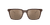 0OV5553SU Injected Men Sunglasses