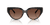 0MK2241U Injected Women Sunglasses