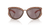 0DL3007U Injected Unisex Sunglasses