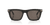 0TR001982 Acetate Men Sunglasses