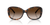 0TF4257U Injected Women Sunglasses