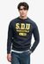 ATHLETIC FELT APPLIQUE RELAXED CREW