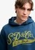 VINTAGE SCRIPT HOOD