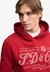 VINTAGE SCRIPT HOOD