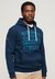 ATHL SCRIPT EMB GRAPHIC HOOD