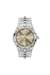 Vert Stainless Steel Watch - DZ223400QQQ